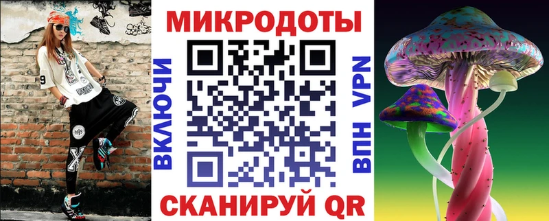 Псилоцибиновые грибы Psilocybine cubensis Нововоронеж