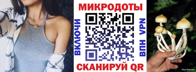 Галлюциногенные грибы прущие грибы  цены   даркнет наркотические препараты  Нововоронеж 